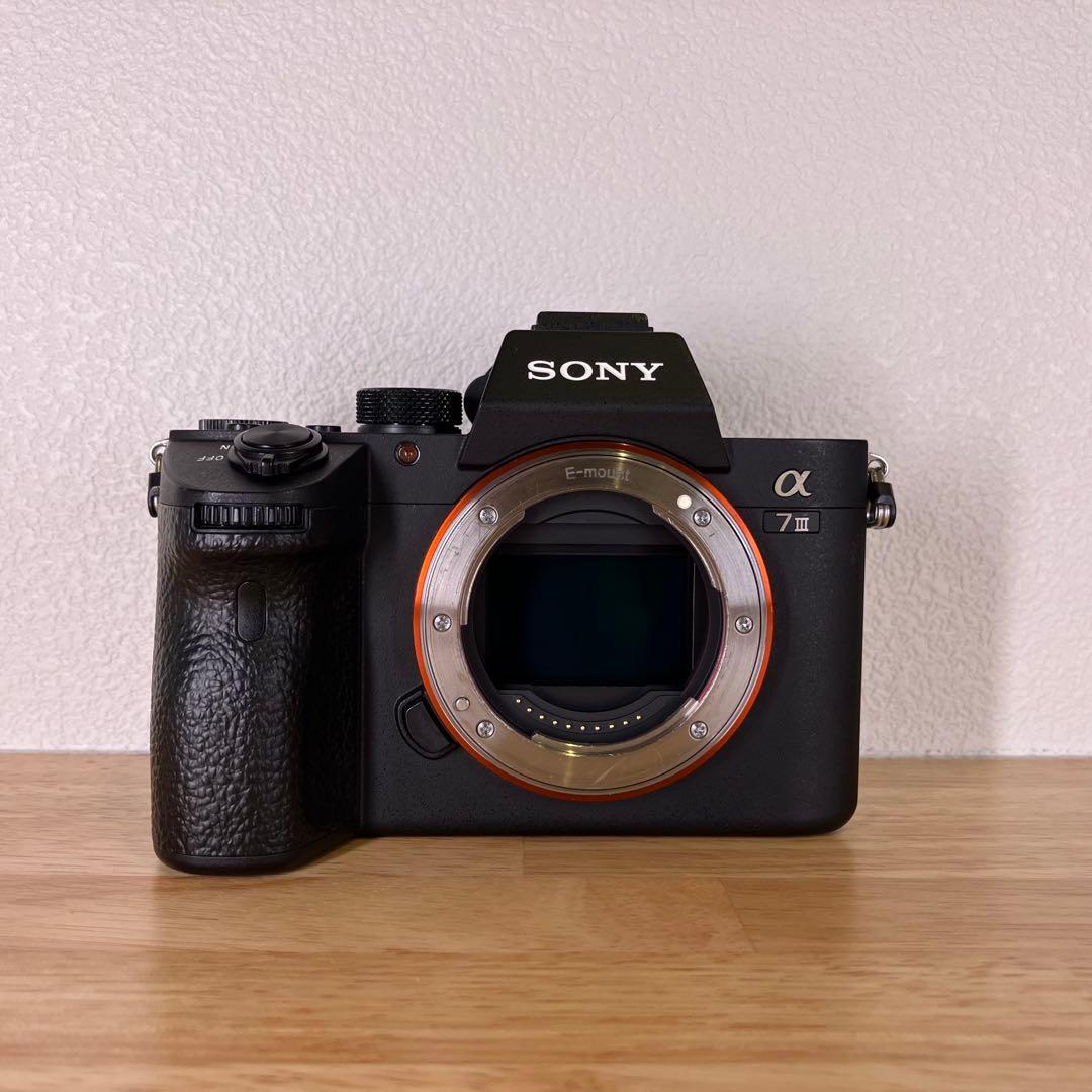 【撮影枚数9,254枚】SONY α7 III ILCE-7M3 付属品多数