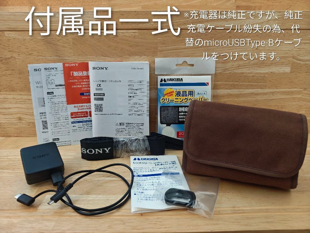 【付属品多数】SONY α6000 ズームレンズ　セット　カメラ 付属品多数