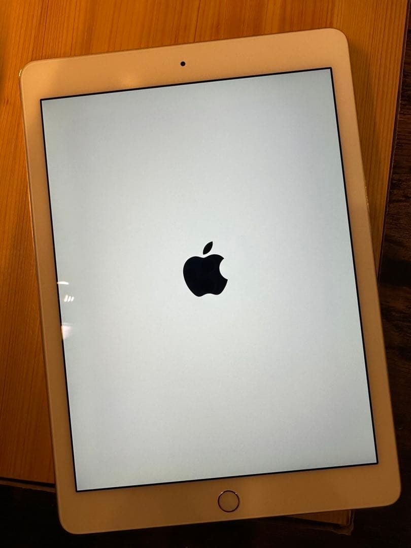 美品 iPad Air2 64GB Wi-Fi シルバー ケース付