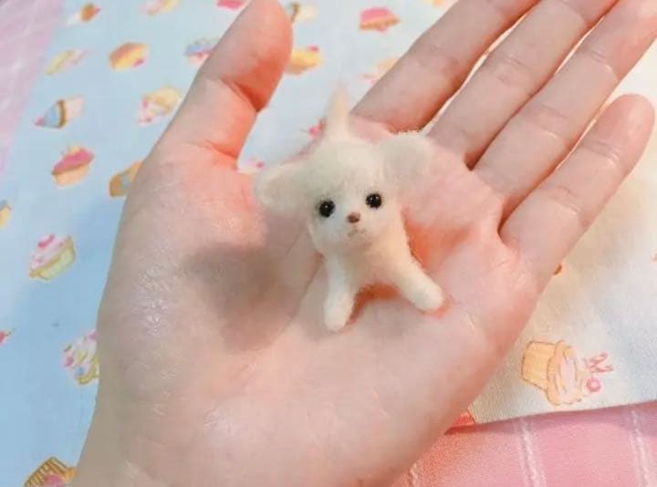羊毛フェルト犬☆ご確認用