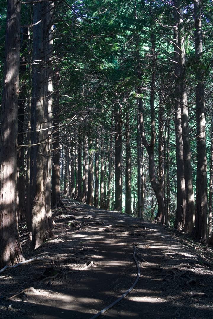SONY E 35mm F1.8 OSS SEL35F18&フィルター