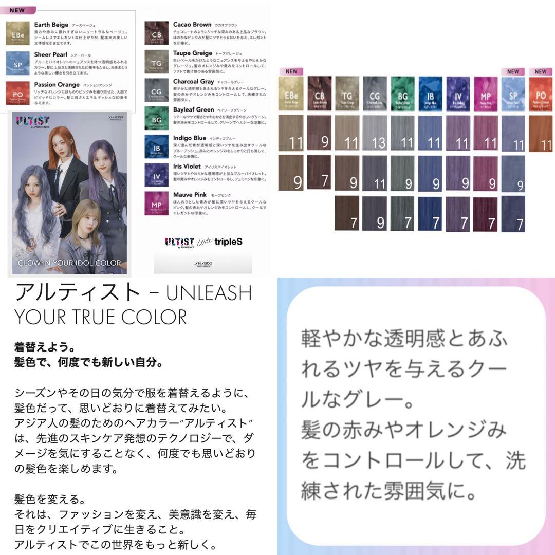資生堂 アルティスト ⑪グレーとシャンプー CG【ブリーチとセット合計5%割引A