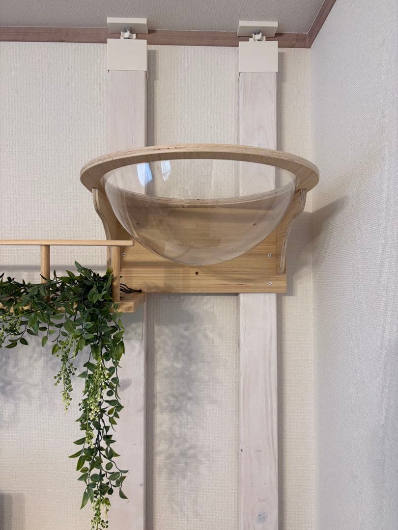 キャットウォーク キャットステップ 壁付け 猫用 透明カプセル型 幅35cm 大