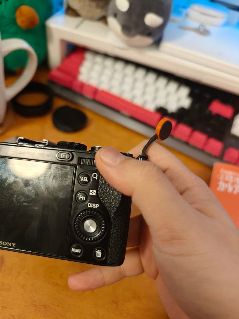 デジタルカメラ Sony DSC RX1