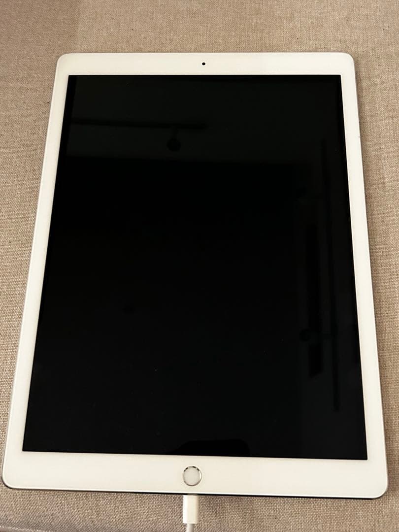 ジャンク iPad pro 12.9インチ 第1世代 グレー