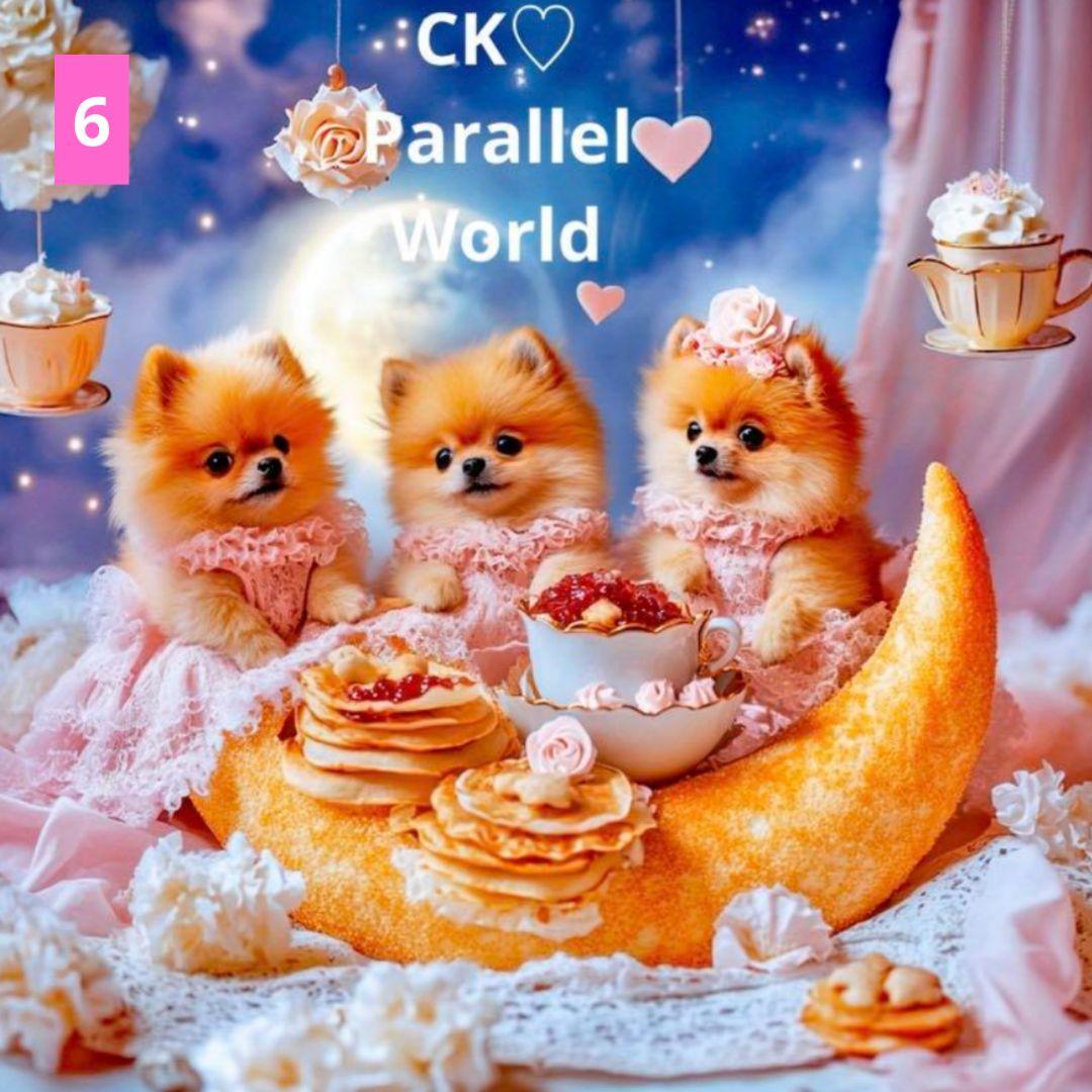 6重ガーゼハンカチ♥フラットポーチ♥オーダー受け付け専用ページ