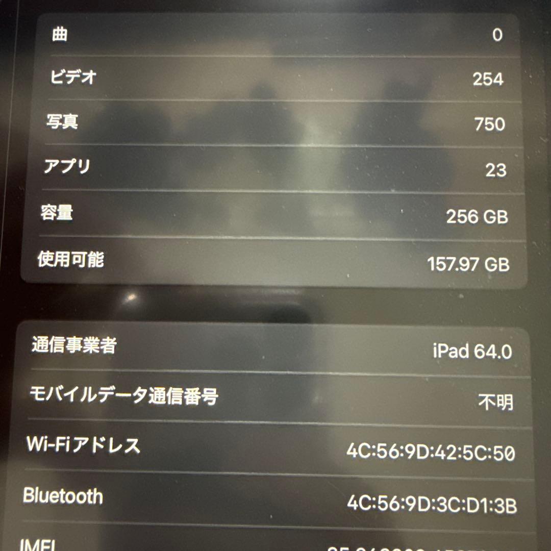 iPad Pro 11インチ 256GB wifi cellular simフリ