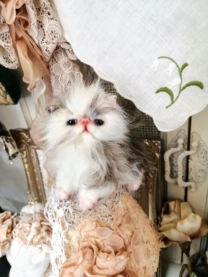 whitelion☆様♡エキゾチック子猫ちゃん♡アートドール♡ぬいぐるみ♡ベビー