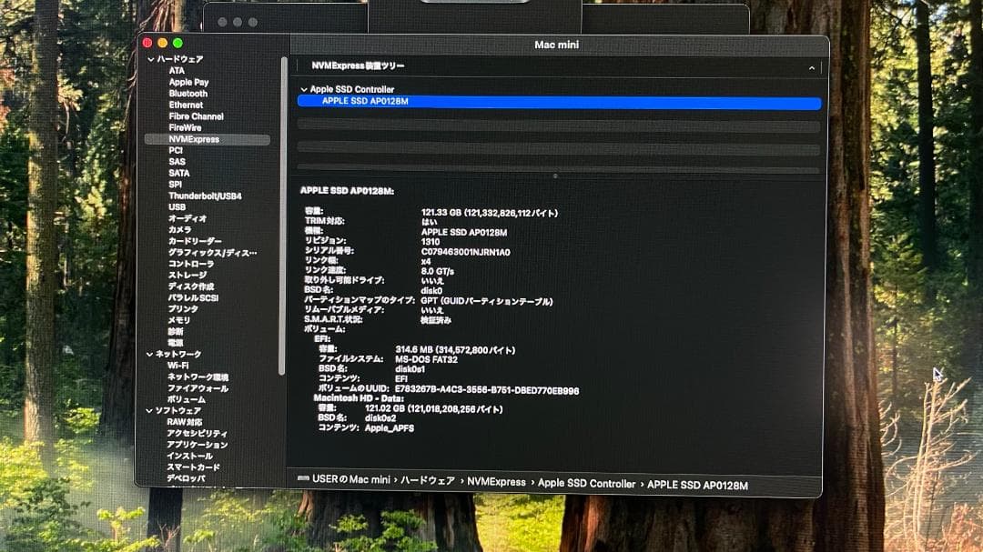 Mac mini Late2018 スペースグレイ /i7/16GB/128GB