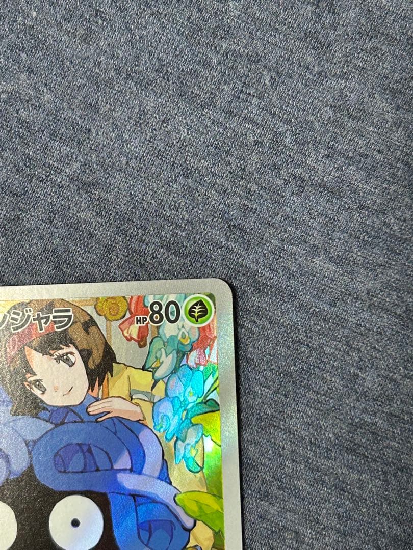 エリカのモンジャラ　AR