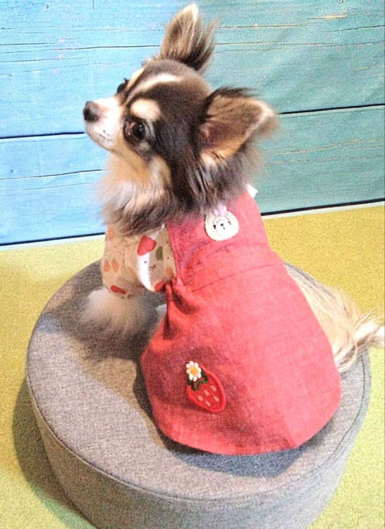 ハンドメイド犬服・2柄から選べるカジュアルワンピース