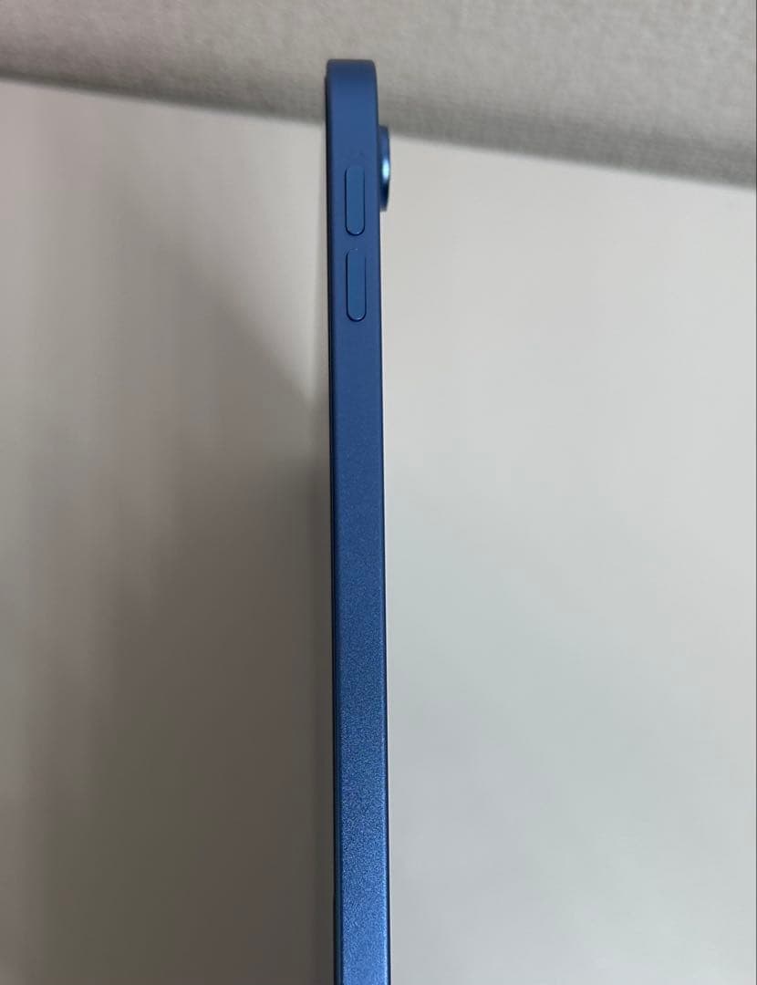 Apple iPad 本体 ブルー