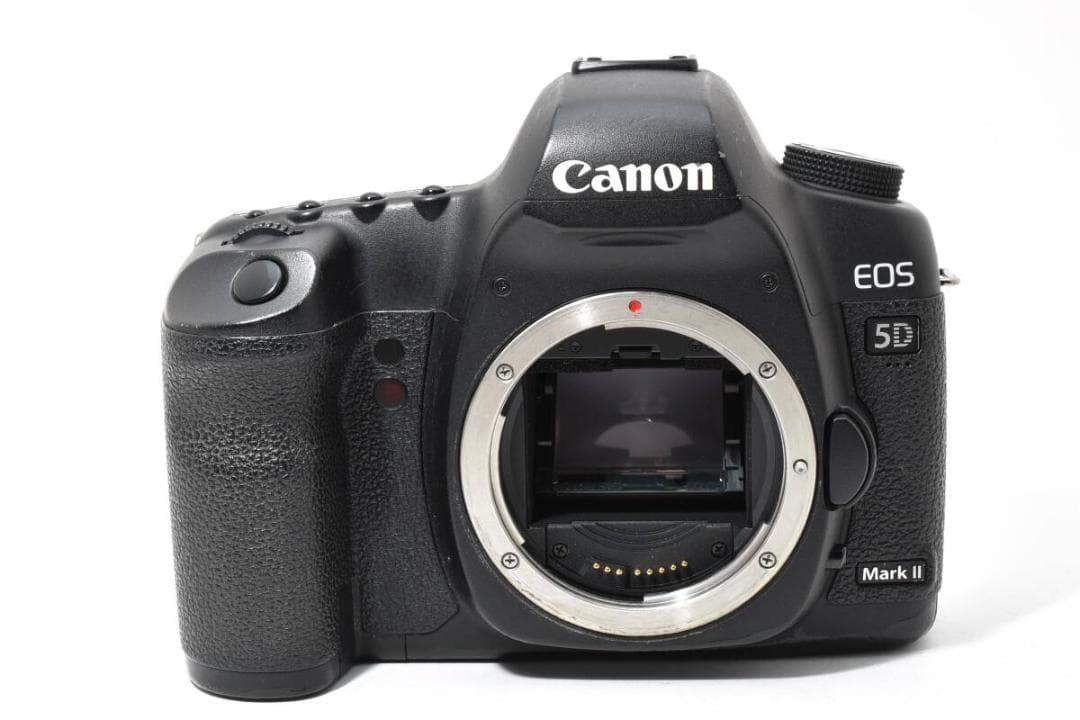 キヤノン　Canon EOS 5D Mark II バッテリー２個付き