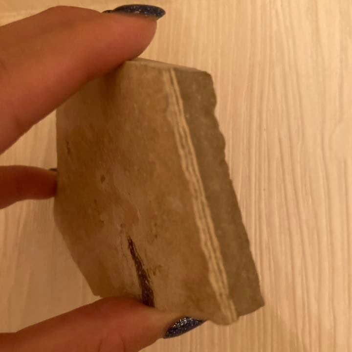 魚化石