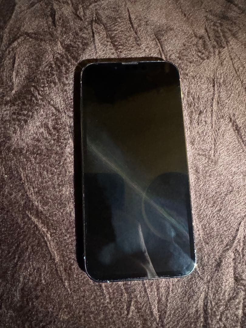 iPhone13 pro カメラ傷あり　本体のみ