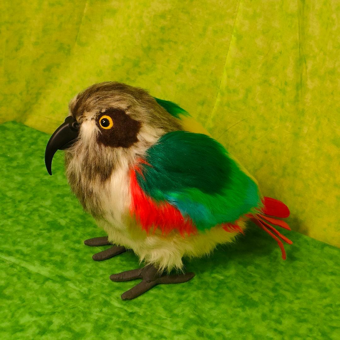 ハンドメイド　ぬいぐるみ　ミヤマオウム