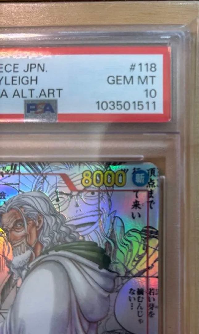 PSA10 シルバーズ・レイリー コミパラ　美品