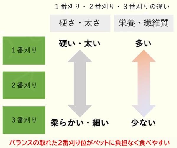【1/14まで】 カナダ産 チモシー 30kg スーパープレミアム １番刈り