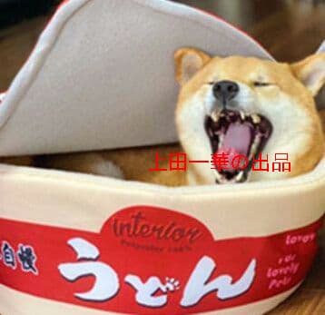 泡麺犬窩柴犬網紅と同じ種類の泡麺猫窩敷式うどんカップ麺INS風ペット0