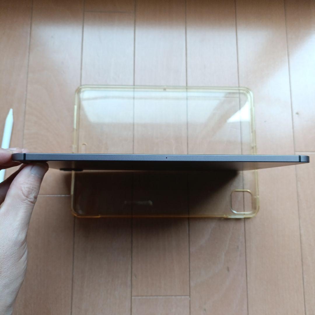 iPad Pro 11インチ 256GB　セルラーモデル　 おまけ付き