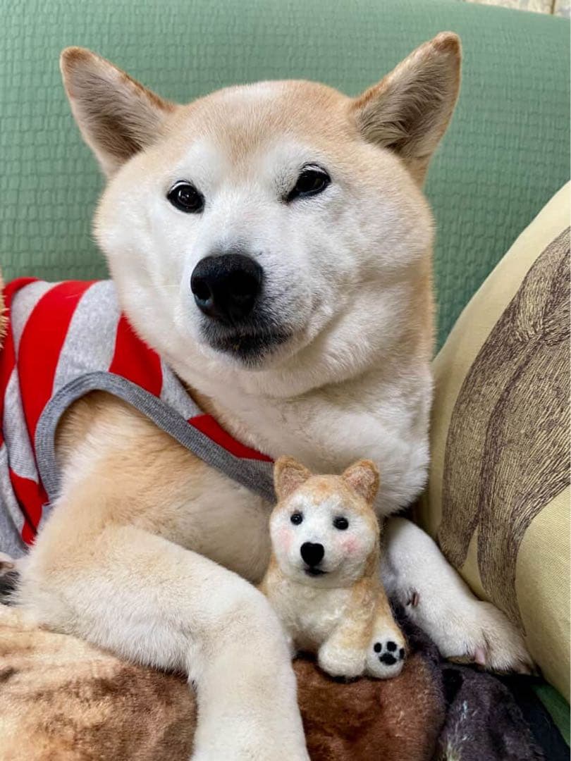 羊毛フェルト　うちの子マスコット　はなここ　お鼻がハートのうちの子　マスコット