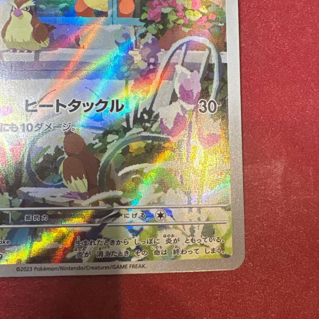 ヒトカゲ AR プロモ