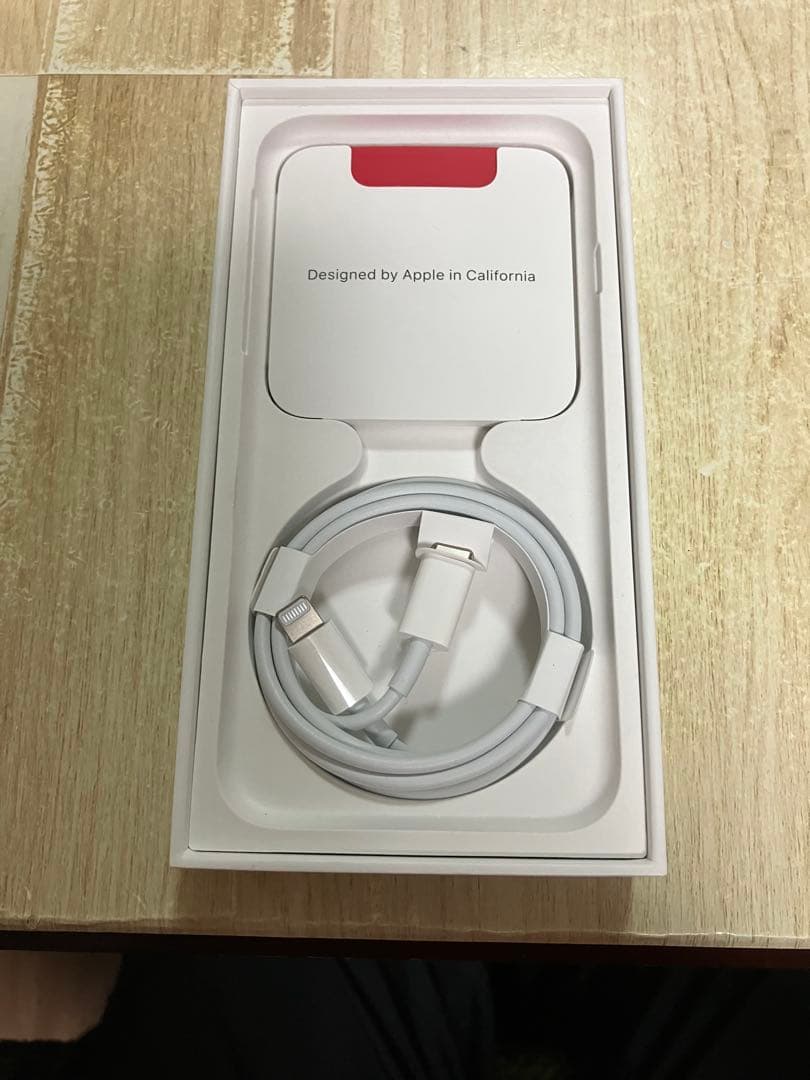 ジャンク　Apple iPhone SE (第2世代) 付属品付き