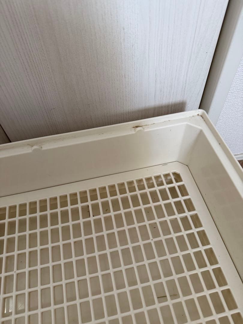 コージーアボード 80 ペットのコジマ購入