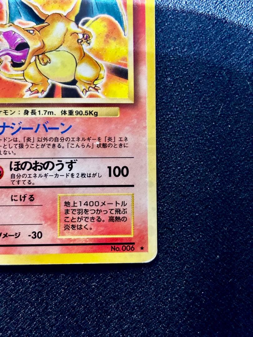 【期間限定！】かえん&ポケモンカード eリザードン＋ドラゴンセット