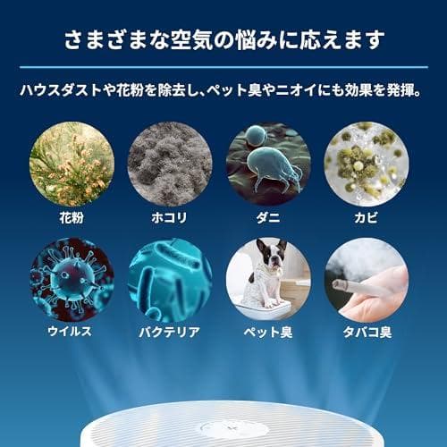 ブルーエア 空気清浄機 22畳 寝室 リビング Blue Max 3250 花*