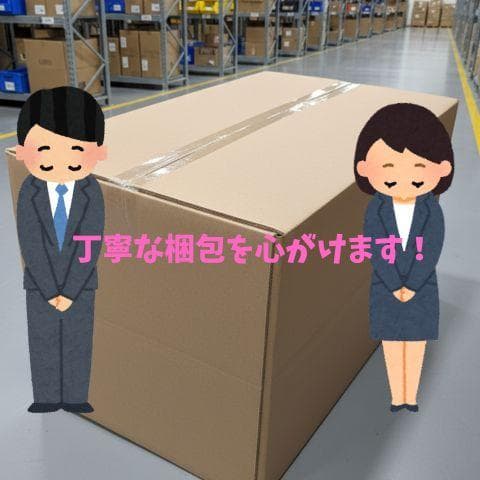 ブルーエア 空気清浄機 22畳 寝室 リビング Blue Max 3250 花*