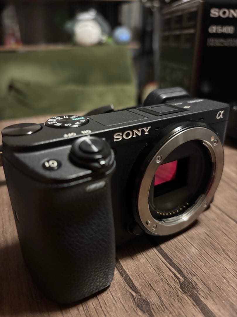 SONY α ミラーレスカメラ Eマウントレンズ2本付き