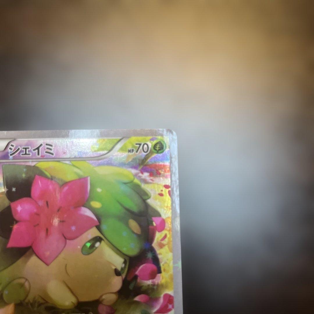 シェイミ cp5