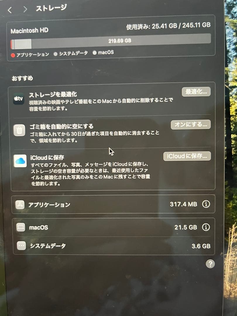 M1 MacBook Air 13インチ16GB(RAM) 256GB(SSD)