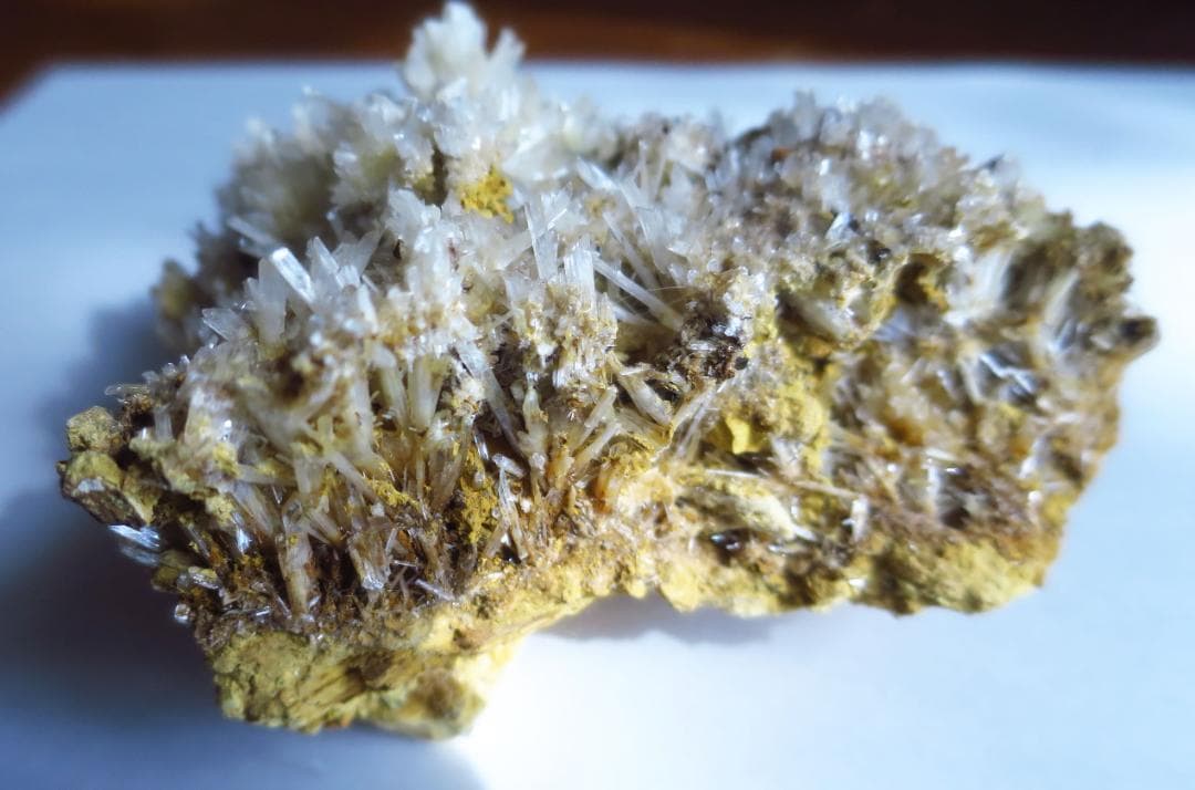 石膏　ジプサム　Gypsum　鉱物標本