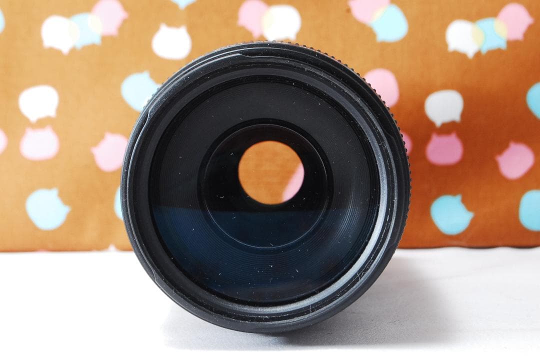 ✨大人気望遠✨美品✨Canon EF 75-300mm F4-5.6 Ⅲ
