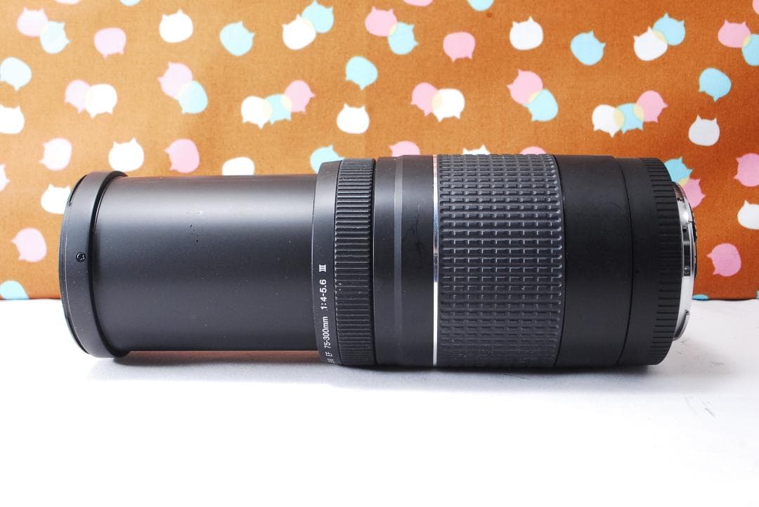 ✨大人気望遠✨美品✨Canon EF 75-300mm F4-5.6 Ⅲ