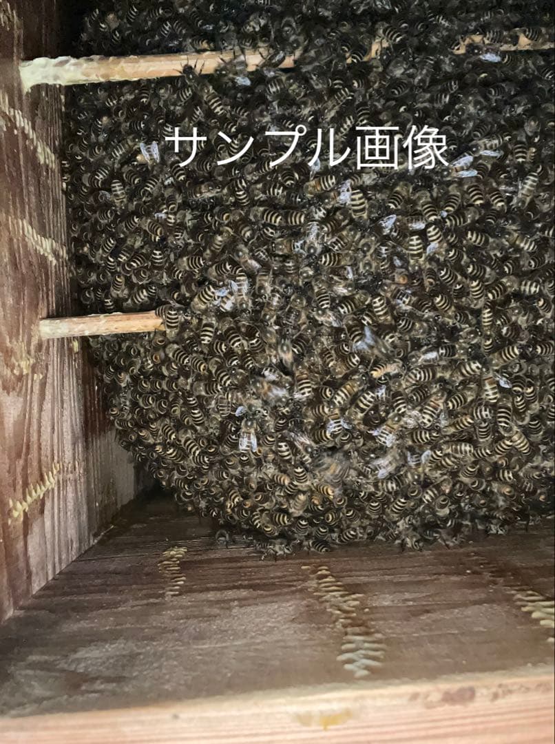 日本蜜蜂重箱式巣箱ハニーズハウス！五段スノコセット！送料無料！