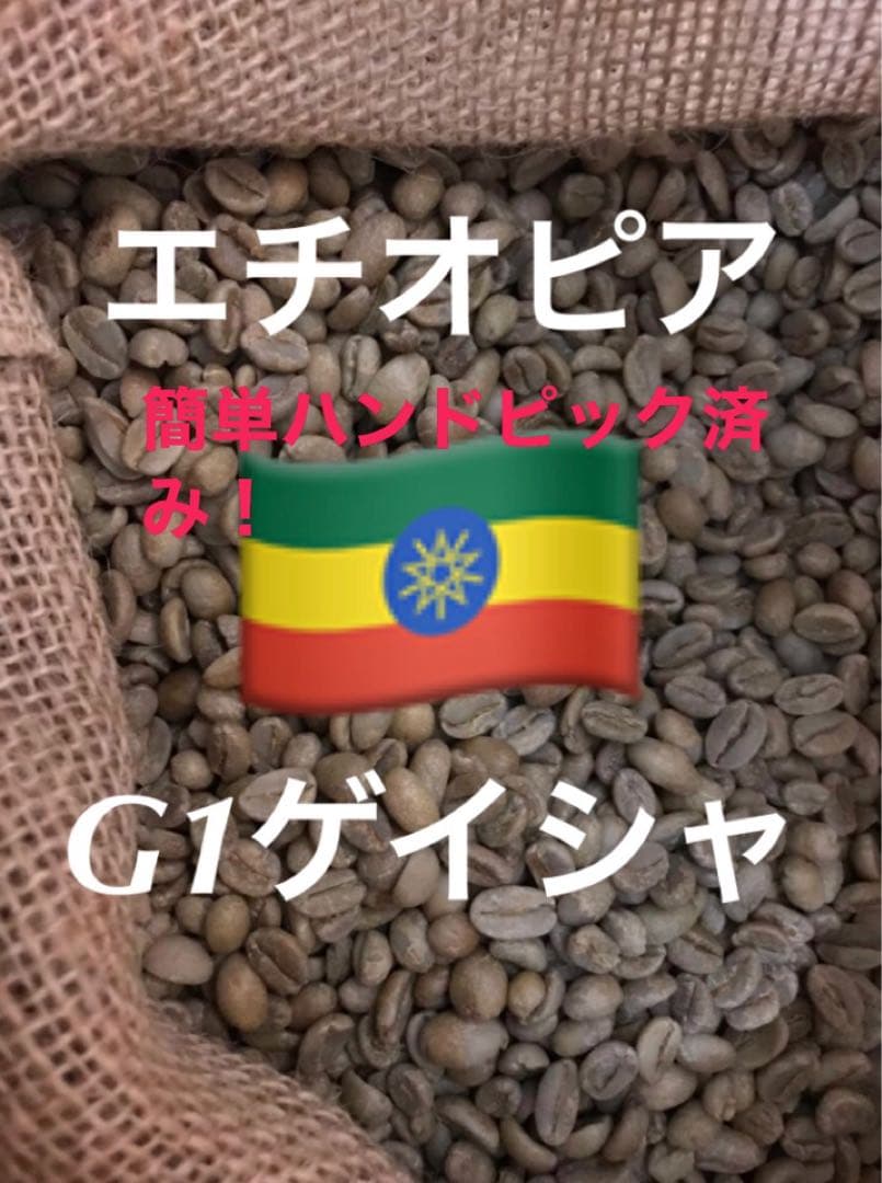 ほたる！エルインヘルト農園グァテマラ1kgゲイシャとアナエロビックゲイシャ
