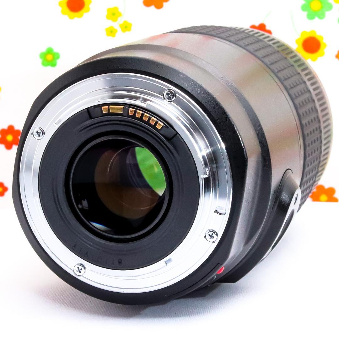 大迫力のズーム！Canon EF 75-300 IS 手ブレ補正 望遠レンズ