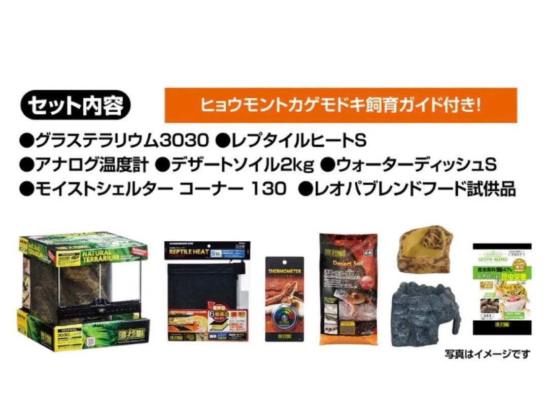 ホ*ナ様 レオパ飼育キット GT3030　【爬虫類初心者にもオススメ】