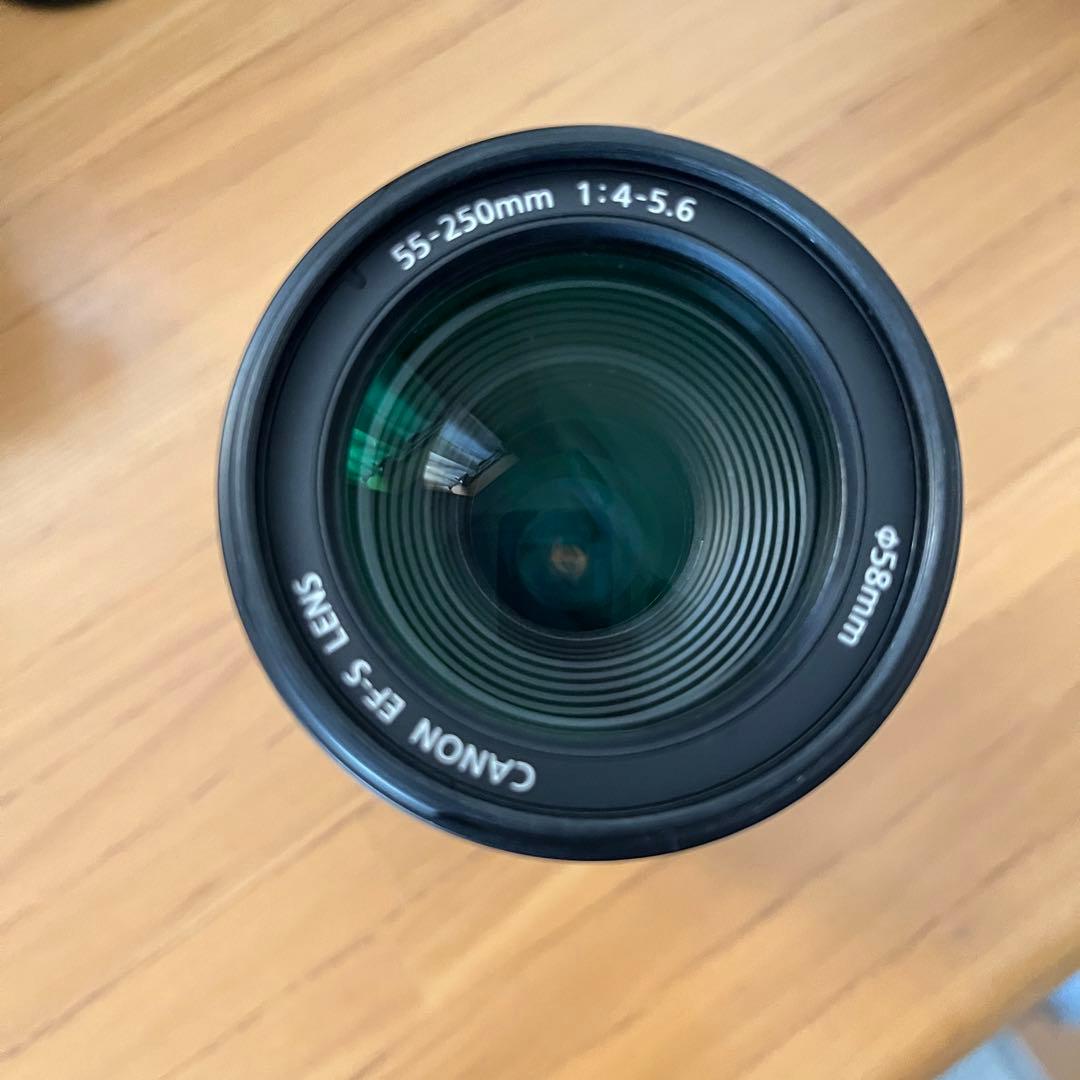 キヤノンEOS R10 RF-S18-150 別途レンズ２三脚防湿庫他付属品多数