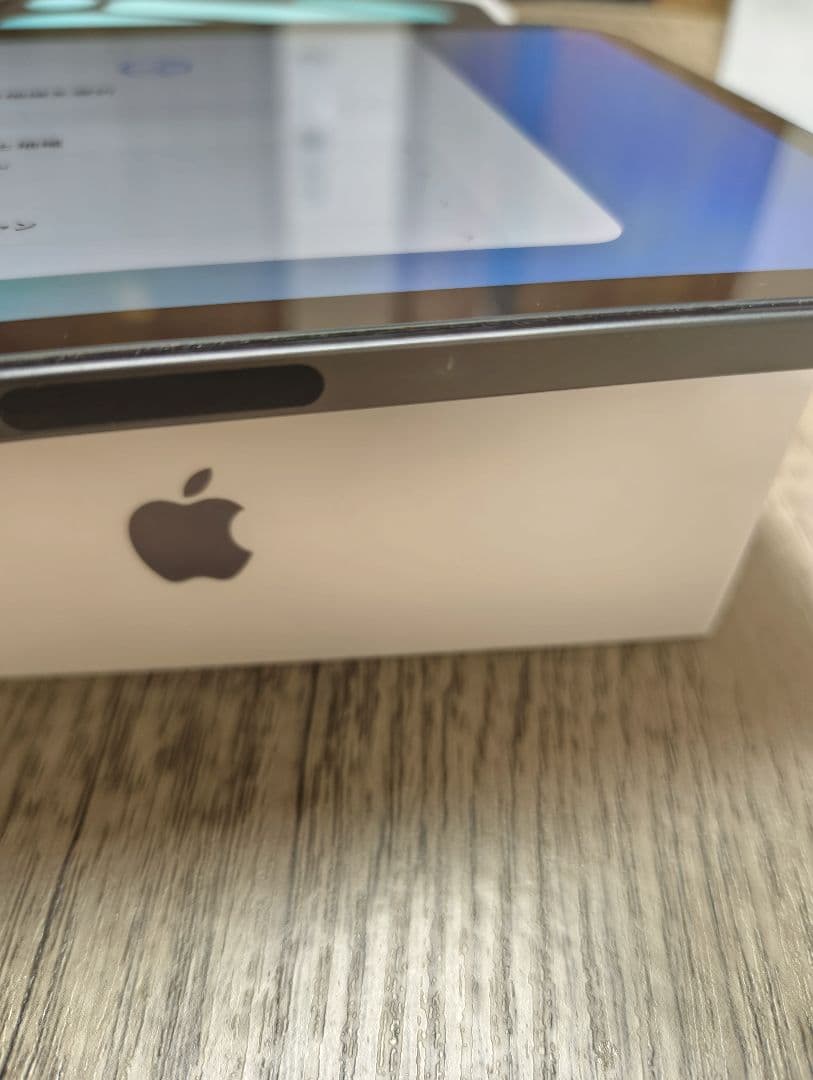 iPad mini6 64GB Cellular｜Apple Pencil2付き