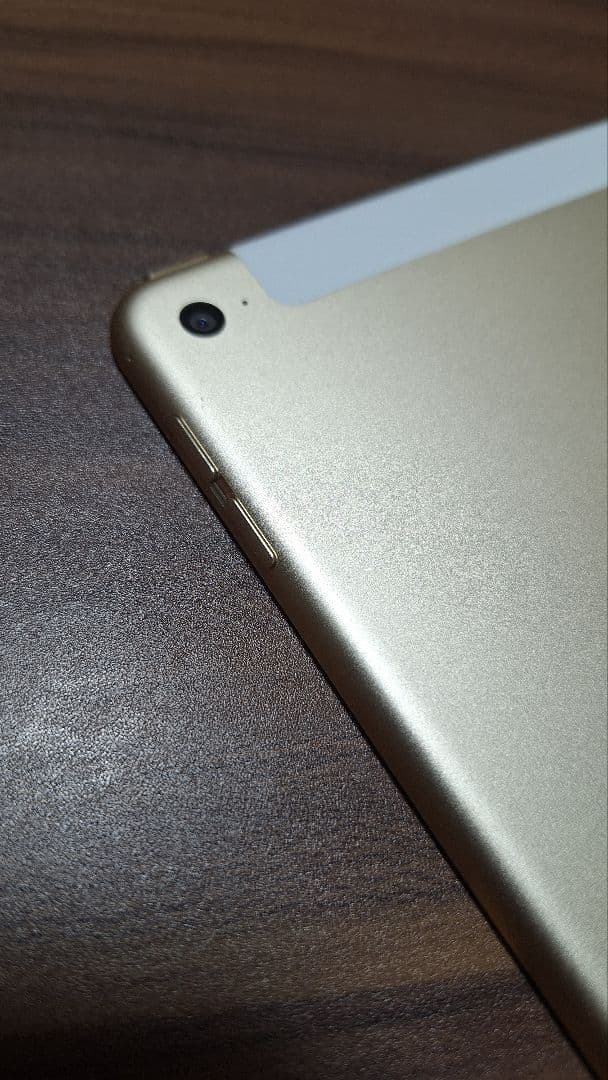 iPad Air2(A1567) 本体32GB 箱・ケース付き Softbank