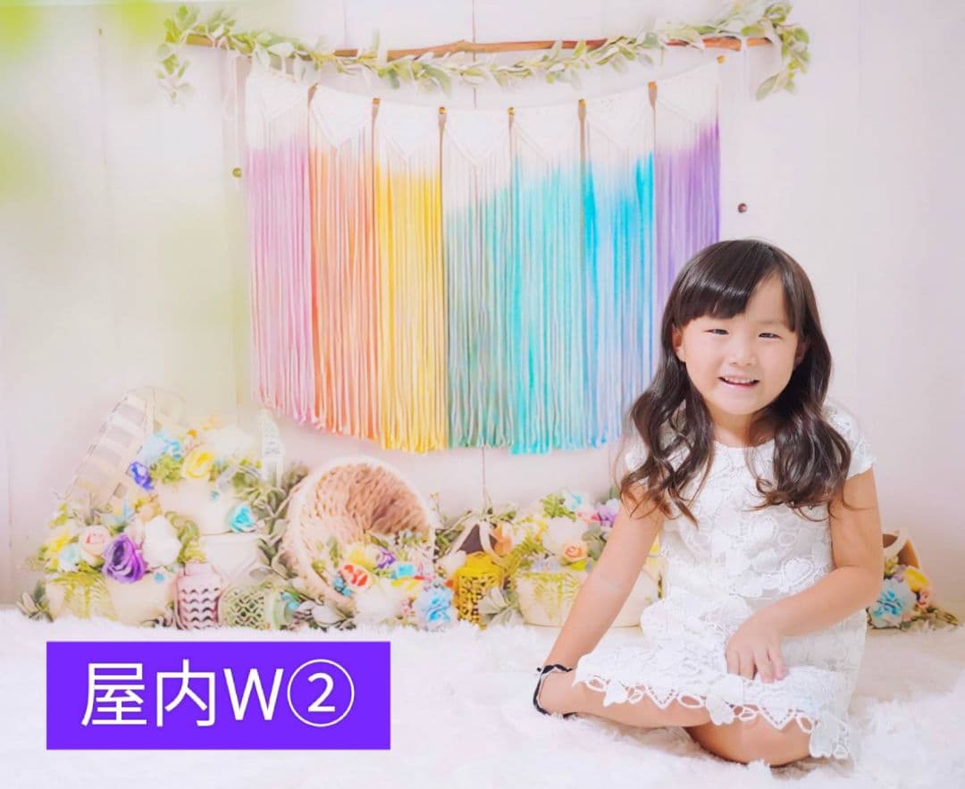 背景布×5+1　ペット撮影用フォトブース　トリミングチョーカー販売中　イースター