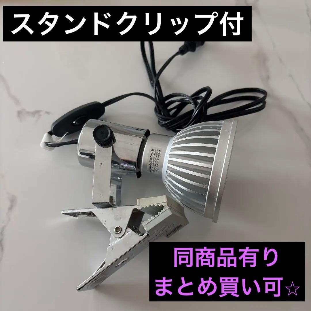 ボルクスジャパン グラッシーレディオ RX072e リーフ