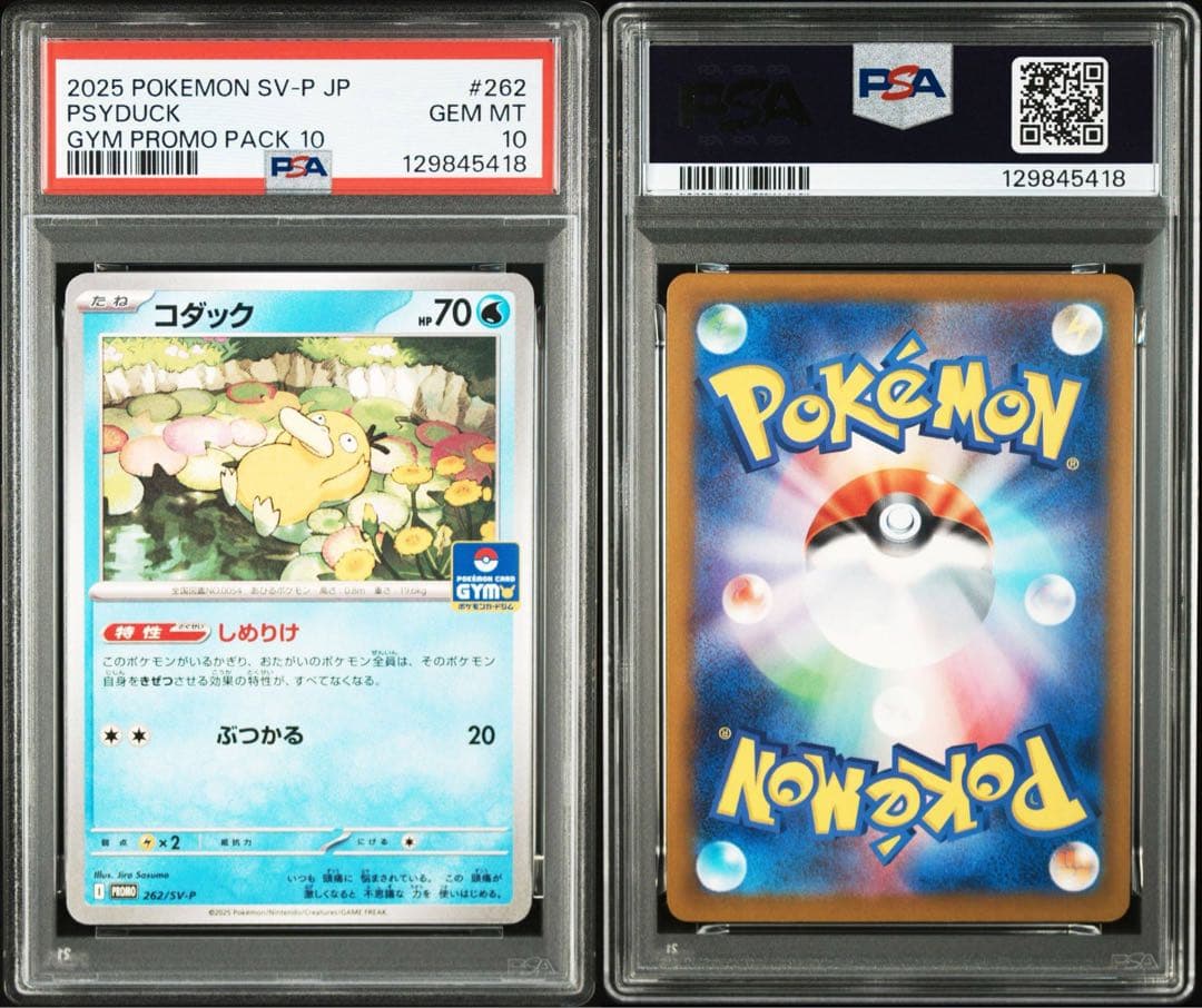 コダック #262 2025 POKEMON SV-P JP GYM PROMO