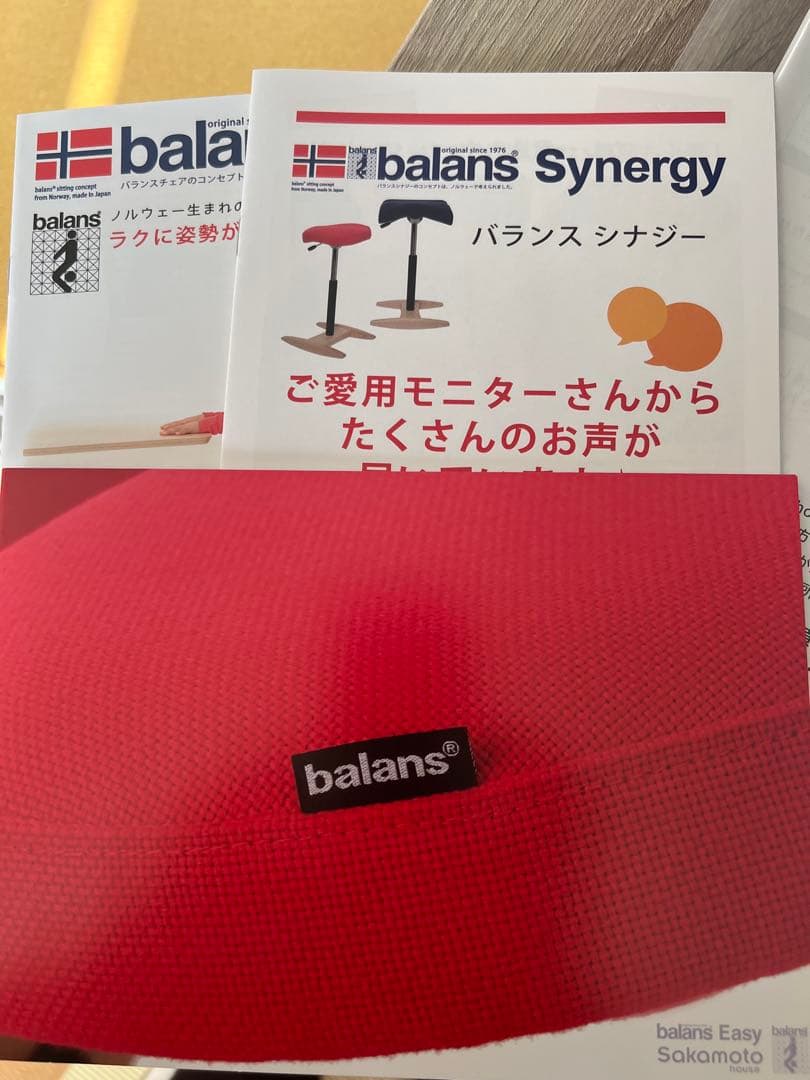 バランスイージーチェア サカモトハウス 日本製 花柄カバー付ピンク