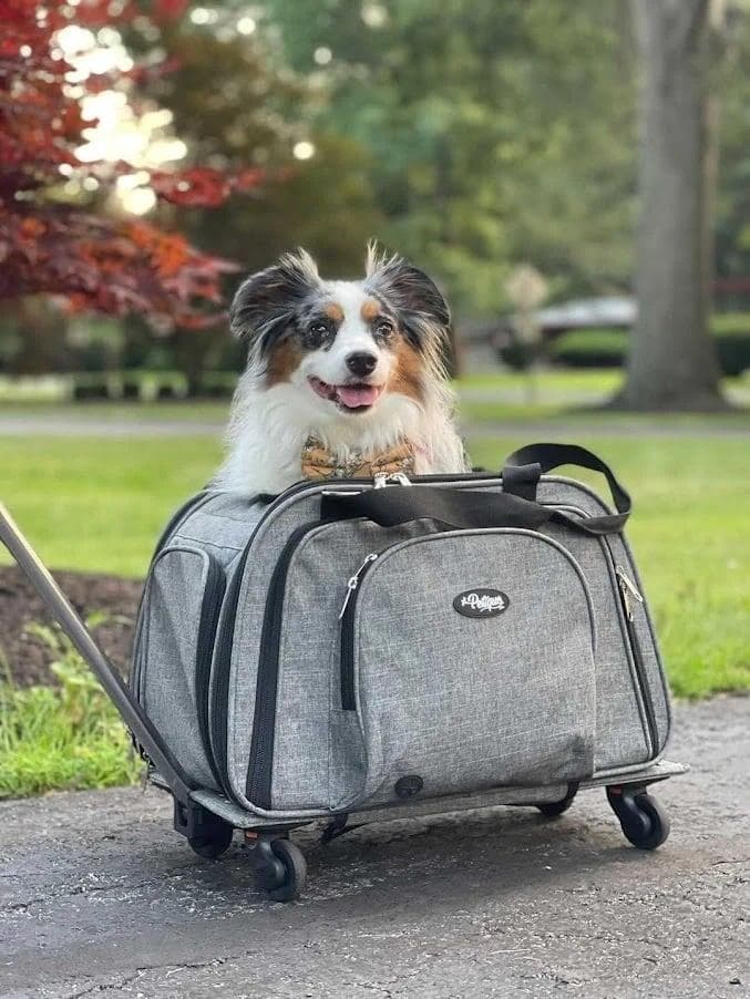 訳あり ペティーク ハッピーキャンパー ペットキャリー キャリーバッグ 犬 猫