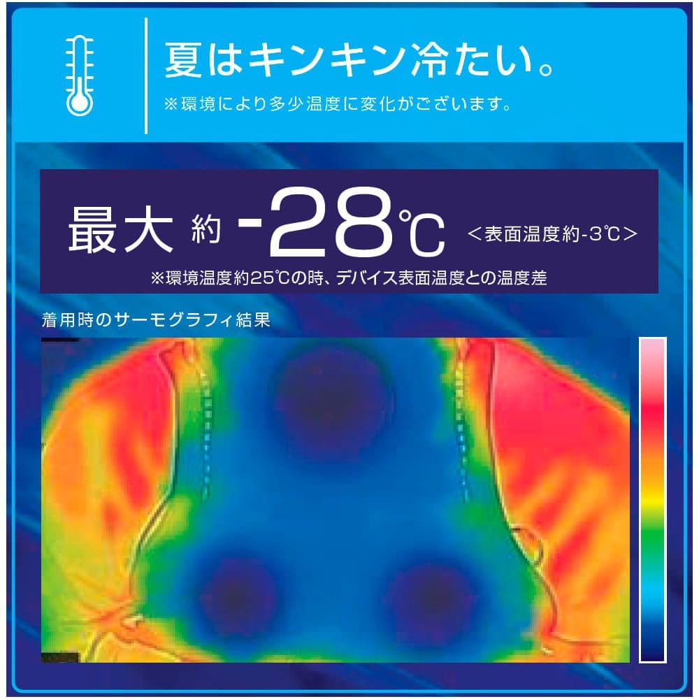 ワークマン ペルチェベスト プロ2 2025 スペシャルエディション 値下げ不可